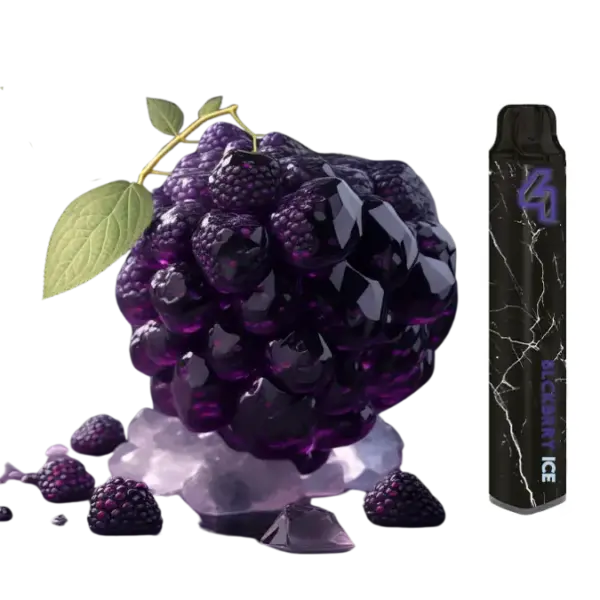 Blackberry Ice Vape von 4ovr – Einweg-E-Zigarette, intensiver Brombeergeschmack mit eisigem Kick, 20 mg Nikotin, perfekt für Dampfer. E-Zigarette, Vape, Dampfer Shop, Einweg E-Shisha, Online Shop.